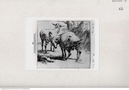 Vorderseite von  [http://creativecommons.org/publicdomain/mark/1.0/] ... - , bh293364. Foto.