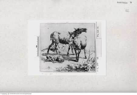 Vorderseite von  [http://creativecommons.org/publicdomain/mark/1.0/] ... - , bh293365. Foto.