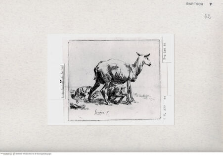 Vorderseite von  [http://creativecommons.org/publicdomain/mark/1.0/] ... - , bh293366. Foto.