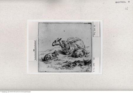 Vorderseite von  [http://creativecommons.org/publicdomain/mark/1.0/] ... - , bh293367. Foto.