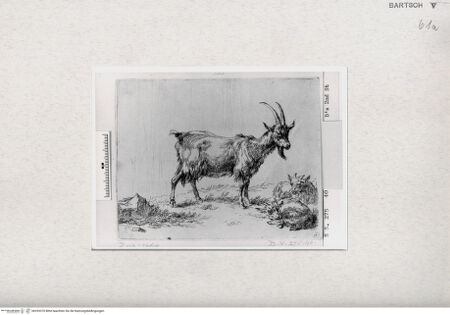 Vorderseite von  [http://creativecommons.org/publicdomain/mark/1.0/] ... - , bh293370. Foto.