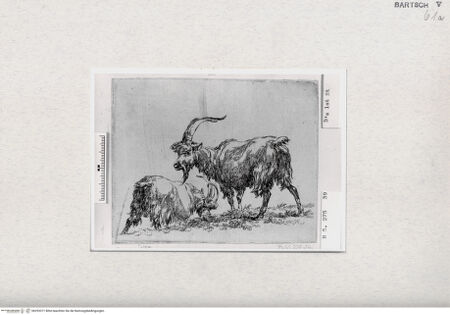 Vorderseite von  [http://creativecommons.org/publicdomain/mark/1.0/] ... - , bh293371. Foto.