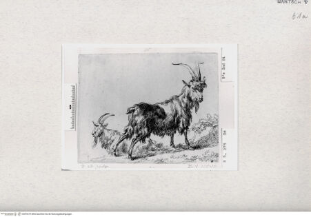 Vorderseite von  [http://creativecommons.org/publicdomain/mark/1.0/] ... - , bh293372. Foto.