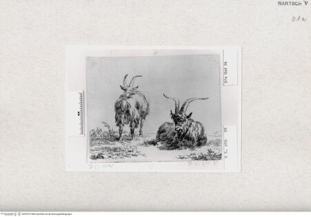 Vorderseite von  [http://creativecommons.org/publicdomain/mark/1.0/] ... - , bh293373. Foto.