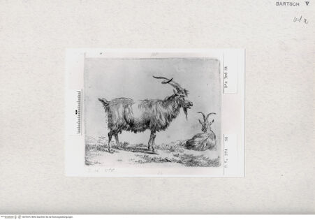 Vorderseite von  [http://creativecommons.org/publicdomain/mark/1.0/] ... - , bh293374. Foto.