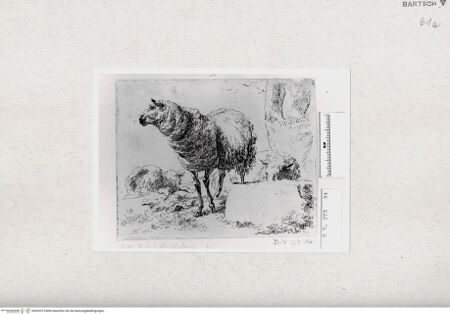 Vorderseite von  [http://creativecommons.org/publicdomain/mark/1.0/] ... - , bh293375. Foto.