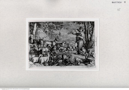 Vorderseite von  [http://creativecommons.org/publicdomain/mark/1.0/] ... - , bh293413. Foto.