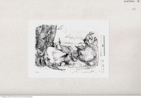 Vorderseite von  [http://creativecommons.org/publicdomain/mark/1.0/] ... - , bh293434. Foto.