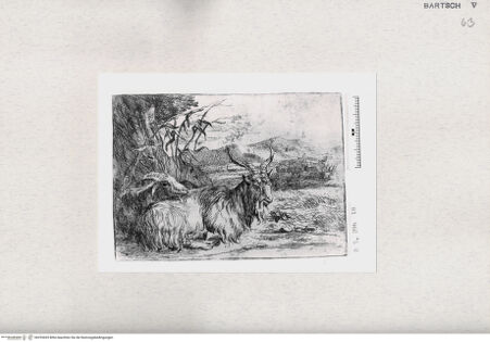 Vorderseite von  [http://creativecommons.org/publicdomain/mark/1.0/] ... - , bh293435. Foto.