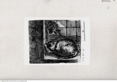 Vorderseite von  [http://creativecommons.org/publicdomain/mark/1.0/] ... - , bh293438. Foto.