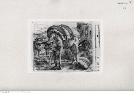 Vorderseite von  [http://creativecommons.org/publicdomain/mark/1.0/] ... - , bh293439. Foto.