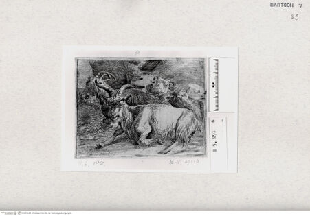 Vorderseite von  [http://creativecommons.org/publicdomain/mark/1.0/] ... - , bh293444. Foto.