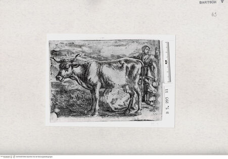 Vorderseite von  [http://creativecommons.org/publicdomain/mark/1.0/] ... - , bh293449. Foto.