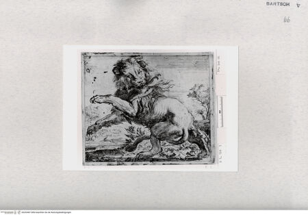 Vorderseite von  [http://creativecommons.org/publicdomain/mark/1.0/] ... - , bh293487. Foto.