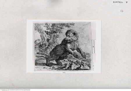 Vorderseite von  [http://creativecommons.org/publicdomain/mark/1.0/] ... - , bh293489. Foto.