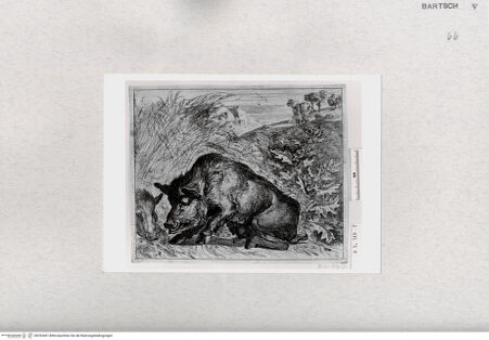 Vorderseite von  [http://creativecommons.org/publicdomain/mark/1.0/] ... - , bh293491. Foto.