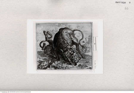 Vorderseite von  [http://creativecommons.org/publicdomain/mark/1.0/] ... - , bh293500. Foto.