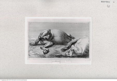 Vorderseite von  [http://creativecommons.org/publicdomain/mark/1.0/] ... - , bh293519. Foto.