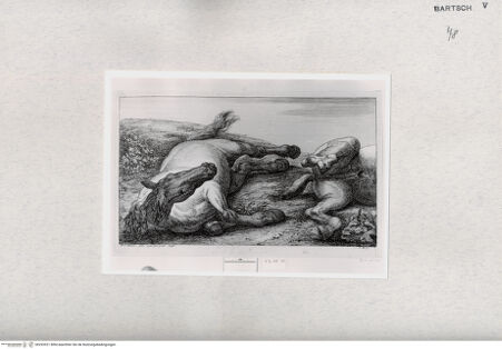 Vorderseite von  [http://creativecommons.org/publicdomain/mark/1.0/] ... - , bh293521. Foto.