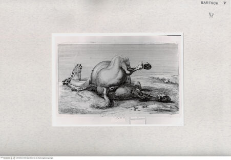 Vorderseite von  [http://creativecommons.org/publicdomain/mark/1.0/] ... - , bh293522. Foto.