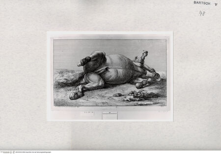 Vorderseite von  [http://creativecommons.org/publicdomain/mark/1.0/] ... - , bh293523. Foto.