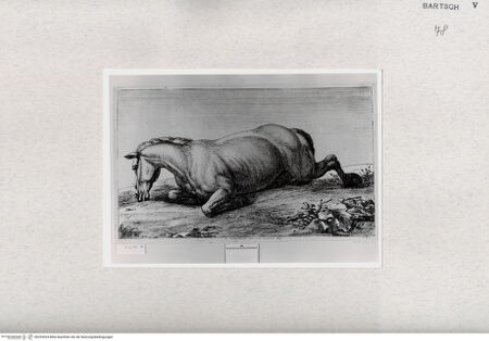 Vorderseite von  [http://creativecommons.org/publicdomain/mark/1.0/] ... - , bh293524. Foto.