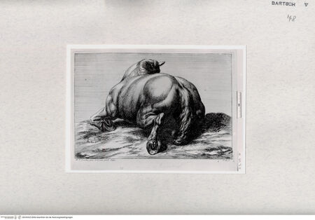 Vorderseite von  [http://creativecommons.org/publicdomain/mark/1.0/] ... - , bh293525. Foto.