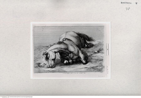 Vorderseite von  [http://creativecommons.org/publicdomain/mark/1.0/] ... - , bh293526. Foto.