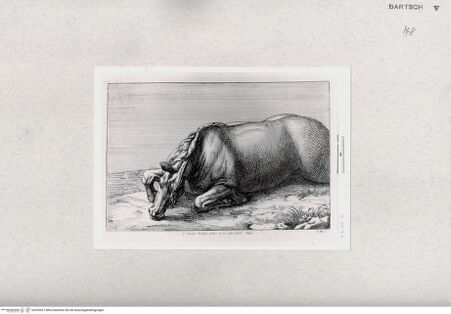 Vorderseite von  [http://creativecommons.org/publicdomain/mark/1.0/] ... - , bh293527. Foto.