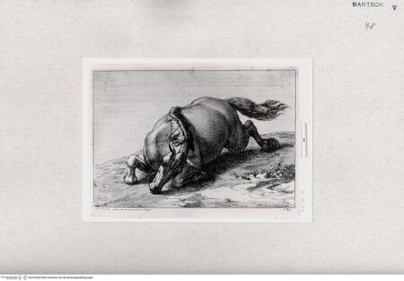 Vorderseite von  [http://creativecommons.org/publicdomain/mark/1.0/] ... - , bh293528. Foto.