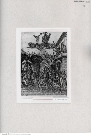 Vorderseite von  [http://creativecommons.org/publicdomain/mark/1.0/] Venus - , bh293710. Foto.