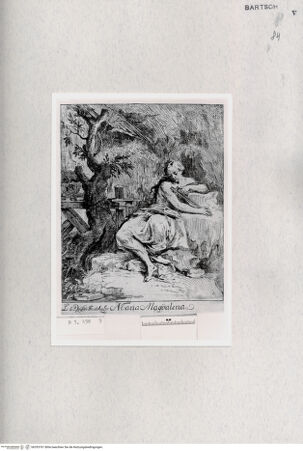 Vorderseite von  [http://creativecommons.org/publicdomain/mark/1.0/] ... - , bh293761. Foto.