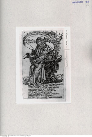 Vorderseite von  [http://creativecommons.org/publicdomain/mark/1.0/] ... - , bh293899. Foto.