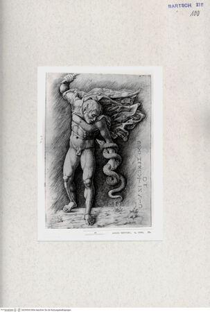 Vorderseite von  [http://creativecommons.org/publicdomain/mark/1.0/] Herkules und Hydra - , bh294343. Foto.