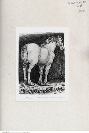 Vorderseite von  [http://creativecommons.org/publicdomain/mark/1.0/] ... - , bh294403. Foto.