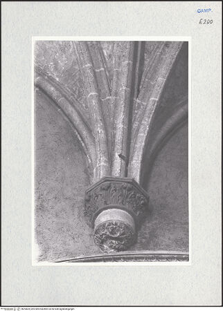 Vorderseite von Krüger, Jürgen [https://www.deutsche-digitale-bibliothek.de/content/lizenzen/rv-fz/] DuomoCappella di San Lorenzo (Cappella degli Illustrissimi) - Kapitell, bh294609_recto. Foto: Krüger, Jürgen.