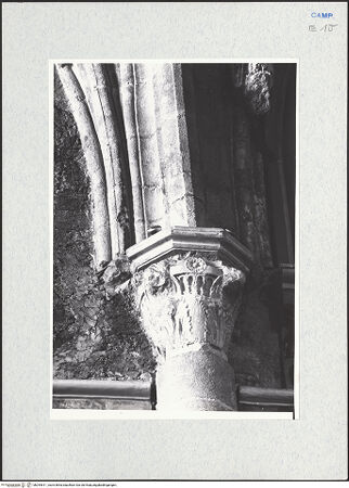 Vorderseite von Krüger, Jürgen [https://www.deutsche-digitale-bibliothek.de/content/lizenzen/rv-fz/] DuomoNordseitenschiff (linkes Seitenschiff) - Kapitell des erstes Pfeilers, bh294611_recto. Foto: Krüger, Jürgen.