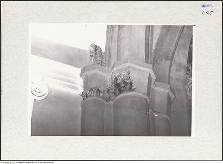 Vorderseite von Krüger, Jürgen [https://www.deutsche-digitale-bibliothek.de/content/lizenzen/rv-fz/] San Giovanni dei Pappacoda - Pfeiler, bh294693_recto. Foto: Krüger, Jürgen.