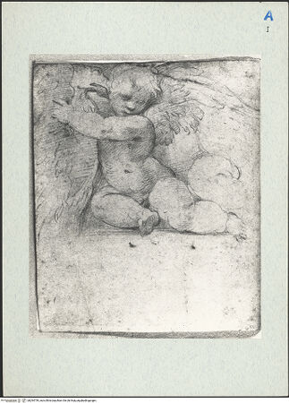 Vorderseite von bh294759_recto