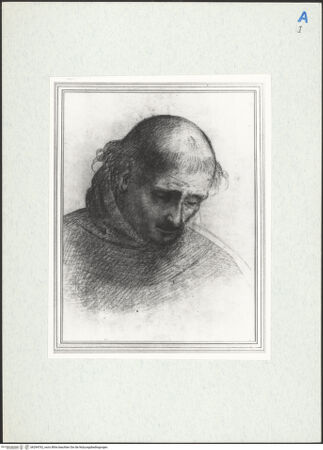 Vorderseite von bh294762_recto