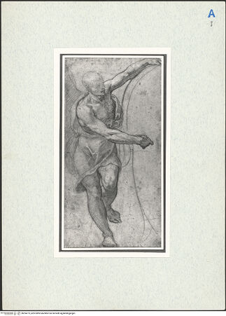 Vorderseite von bh294775_recto