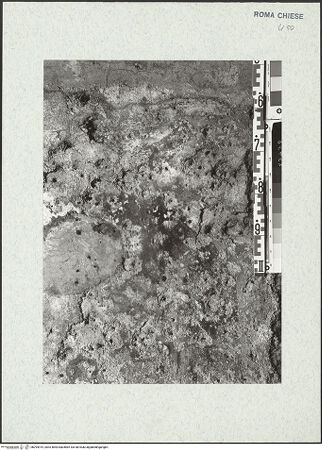 Vorderseite von bh294919_recto