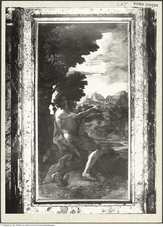 Vorderseite von bh294981_recto