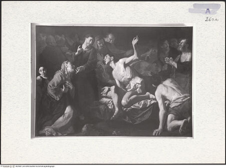 Vorderseite von bh295081_recto