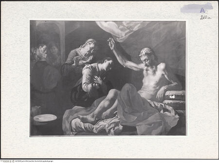 Vorderseite von bh295082_recto