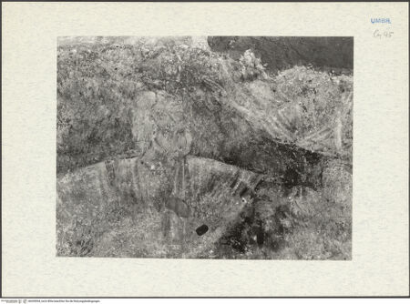 Vorderseite von bh295094_recto