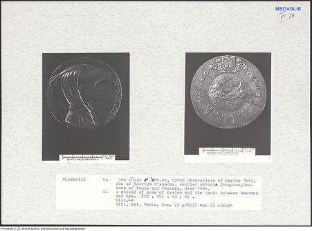 Vorderseite von bh295206_bh295207_recto