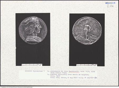 Vorderseite von bh295229_bh295230_recto