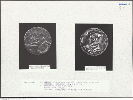 Vorderseite von bh295366_bh295367_recto