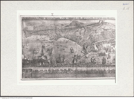 Vorderseite von bh295520_recto